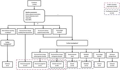 Etiologic Classification of 541 Infantile Spasms Cases: A Cohort Study